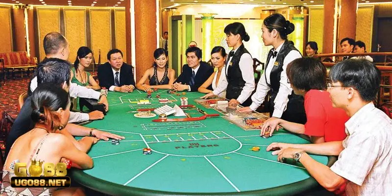 Casino là gì và các loại hình công việc trong ngành