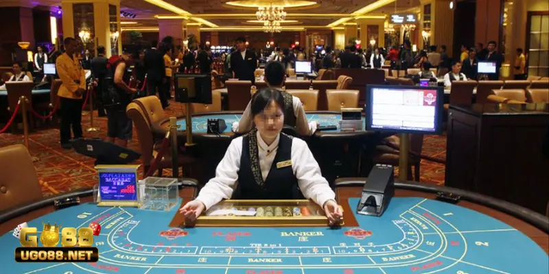 Casino Là Nghề Gì? Lợi Ích Và Thách Thức Của Nghề Casino